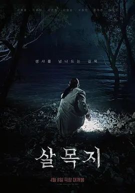 【精品厕拍】坑神躲藏女厕，连续偸拍超多小姐姐方便，拍脸又拍逼，形态各异，看点十足 (3) - HolyFuckAV海报